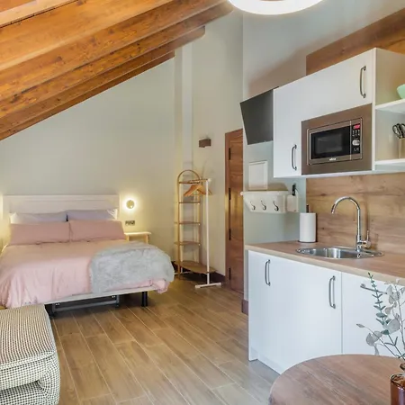 El Rincon De Andrea Estudios Apartmán Biescas (Aragon)